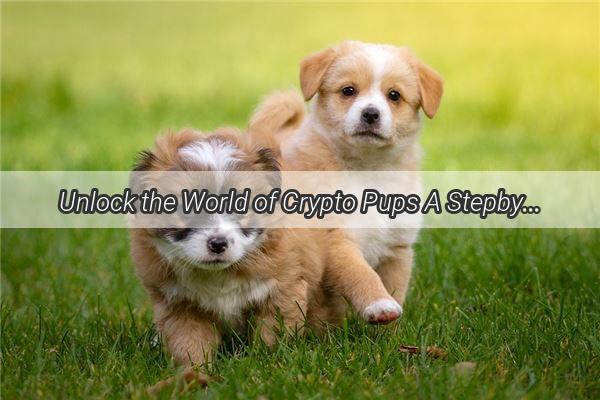 Unlock the World of Crypto Pups A StepbyStep Guide to Creating Your Dogecoin Wallet